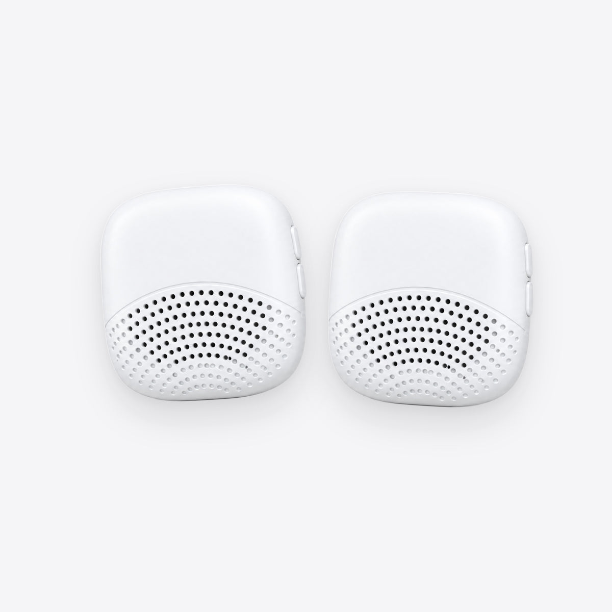 toik for two: two toik translators side by side